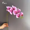 Húmeda al tacto, nueva orquídea artificial Phalaenopsis de 7 cabezas, decoración para el hogar y hotel, venta al por mayor para bodas, accesorios de fotografía