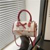 Bolso de axila de nicho de alta gama para mujer, nuevo bolso de estampado de lazo Verano 2025, moderno bolso de hombro y de mano