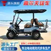 Carritos de Golf, Transportes de Pasajeros de Aeropuertos, Vehículos de Recepción Turística, Carritos de Golf Eléctricos Transfronterizos