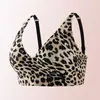 Sutiã sexy listrado com estampa de leopardo, best-seller da Amazon transfronteiriço, com bojo push-up, modelador, absorvente de impacto, suporte lateral e sem costura