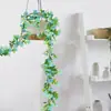 Amazon Transfronterizo Margarita Ratán Secreto Pasaje Pared Serpenteante Decoración Pastoral Ratán Artificial Flores Artificiales