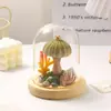 Lámpara de noche semicircular de concha marina y erizo de mar con cubierta de vidrio, lámpara decorativa creativa para escritorio de dormitorio infantil, adorno, venta al por mayor