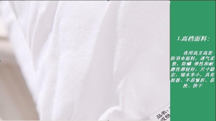 全棉靠垫芯3
