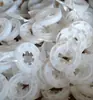 Accesorios Cinta Virgen Papel Deslizante Cinta Rueda Grande Rueda Pequeña Fieltro Aguja de Acero Lámina Protectora Accesorios