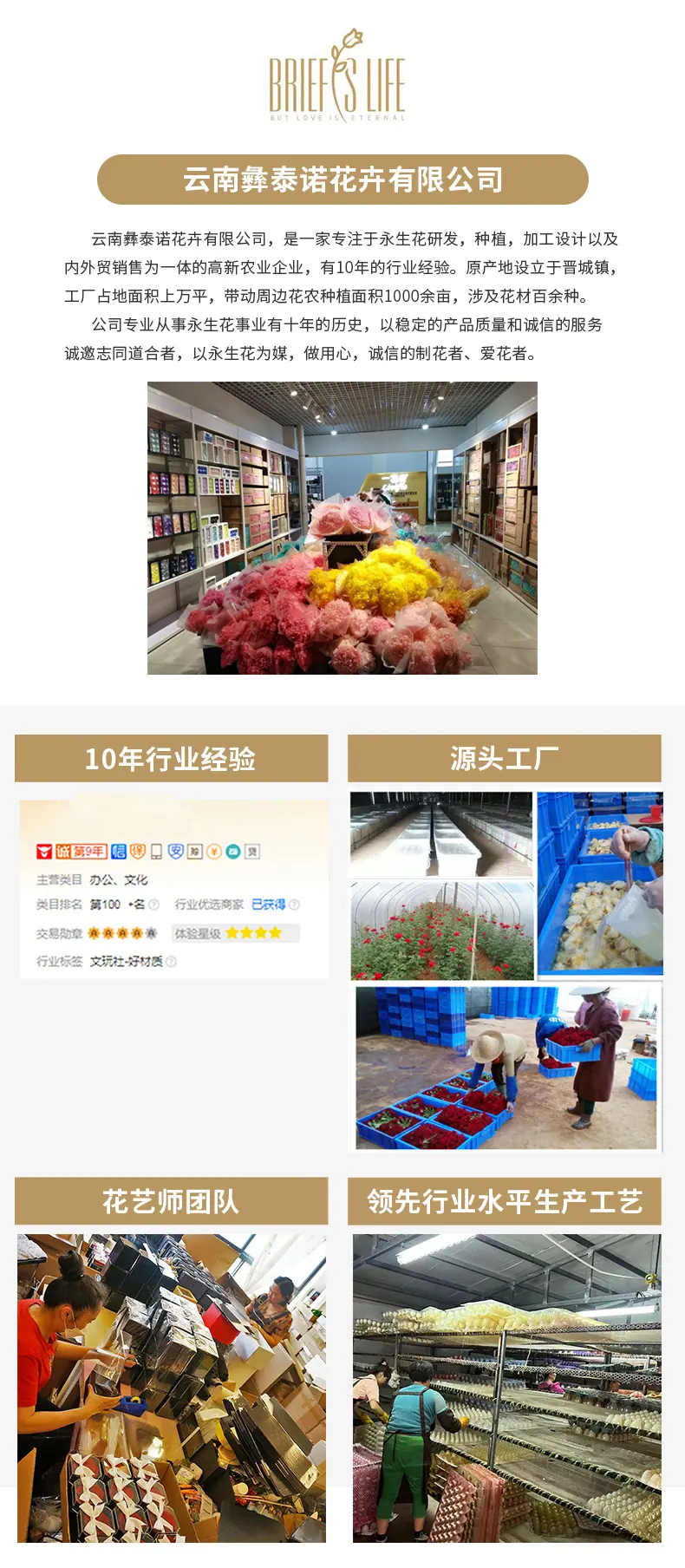 玫瑰花头_01