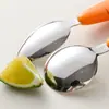 Set de Cubiertos Portátil de Zanahoria Acero Inoxidable 304 Cuchara Tenedor Infantil Alimentación para Bebés Cuchara Pequeña Raspador de Puré
