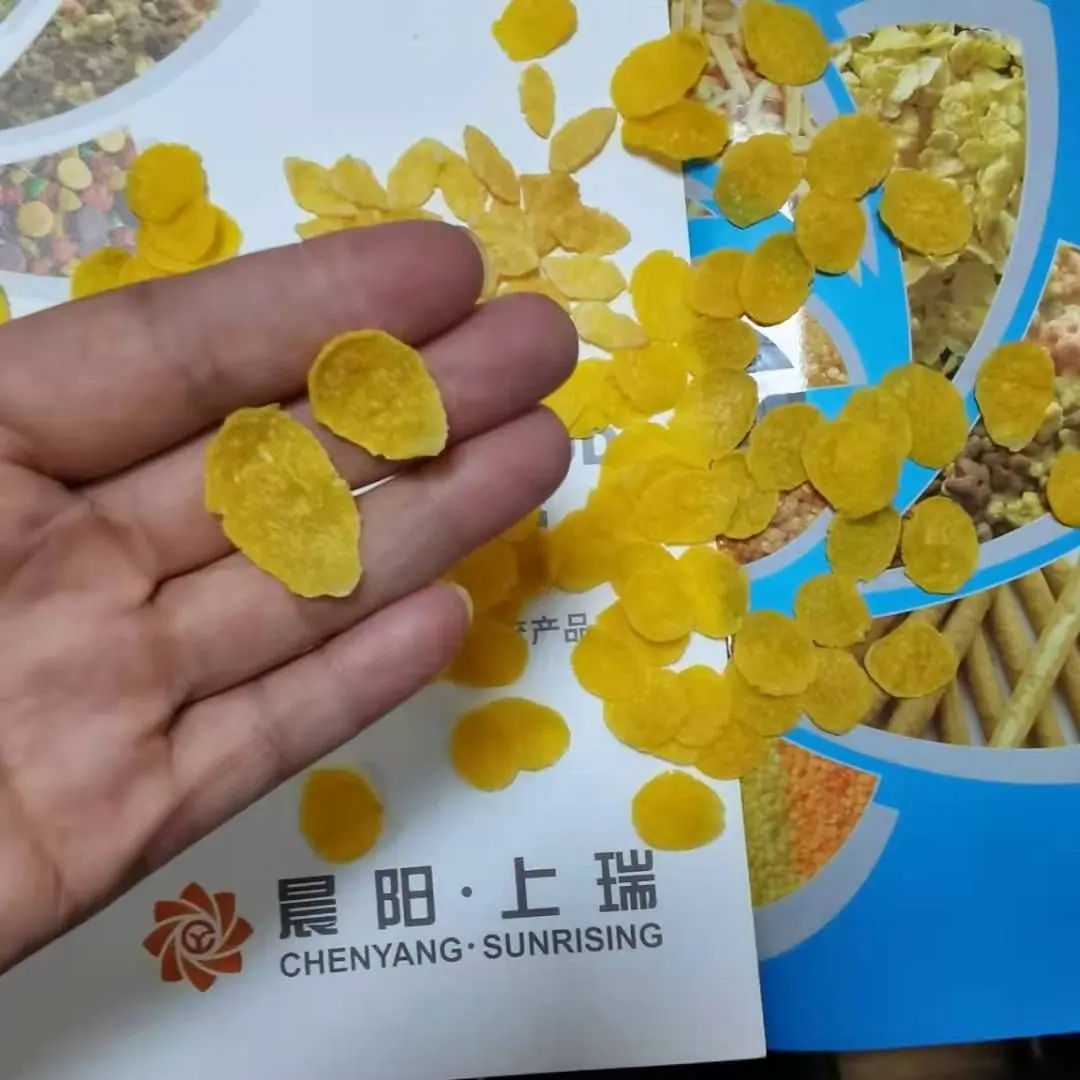 玉米片样品 (1)