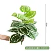 Venta al por mayor spot combinación de plantas verdes artificiales macetero exterior departamento de ventas de calle comercial canaleta para flores decoración de ventana cuadrada