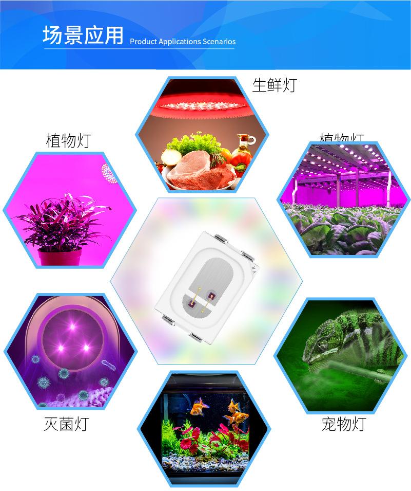 B详情3020-04