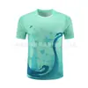 Roupa de Tênis de Mesa Masculina e Feminina Manga Curta Competição Roupa Esportiva Secagem Rápida Respirável Infantil Camisa de Tênis de Mesa Uniforme de Equipe Impressão