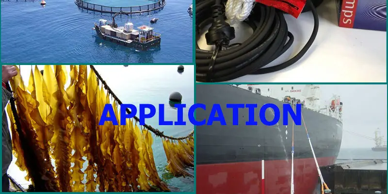 PP-ROPE-APLICATION_02