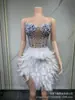 Elegante Vestido de Gala Negro de Diseñador para Mujer con Pedrería y Plumas, Vestido Largo, Vestido Corto, Atuendo de Presentación