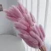 Ramo de Flores de Hierba de Cola de Conejo Seca Mezclado con Flores Inmortales, Paquete de Material para Arreglo Floral de Decoración Natural de Flores Reales Secadas al Aire para Sala de Estar del Hogar