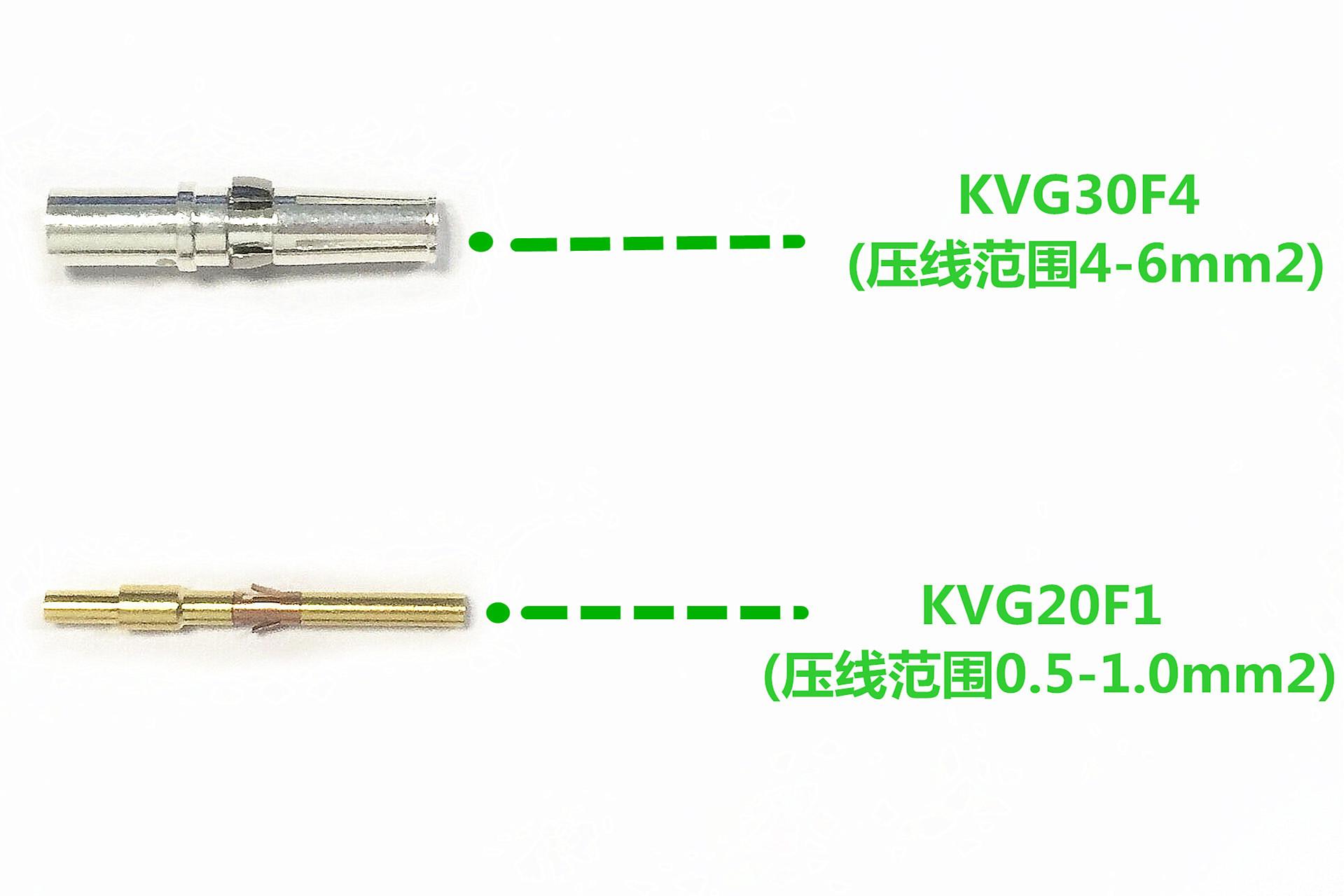 QQ图片20190509171233_副本
