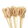 Brochetas pequeñas al por mayor para barbacoa de mercado nocturno, selección completa de brochetas calientes y frías, brochetas fritas, productos semiacabados, pollo Bobo y brochetas de cordero