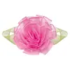 Fábrica de Fitas Folha em Oito 3D Decoração Floral Feita à Mão Fita de Cetim de Poliéster Fita de Organza Decoração de Folha Fita Floral