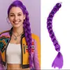 Comércio Exterior Transfronteiriço Europeu e Americano Peruca Clip-On Rabo de Cavalo Tranças Grandes Tranças Torcidas Skpop Caçador de Demônios Grupo Feminino Cosplay Tranças Grandes Atacado