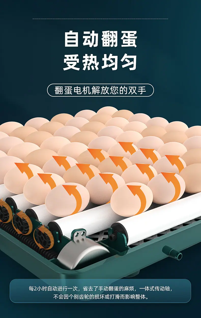 详情_05.jpg