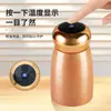 Novo Modelo Copo Misturador Automático Cerâmico com Revestimento de Titânio, Display de Temperatura, Mini Copo de Água Esportivo para Homens e Mulheres