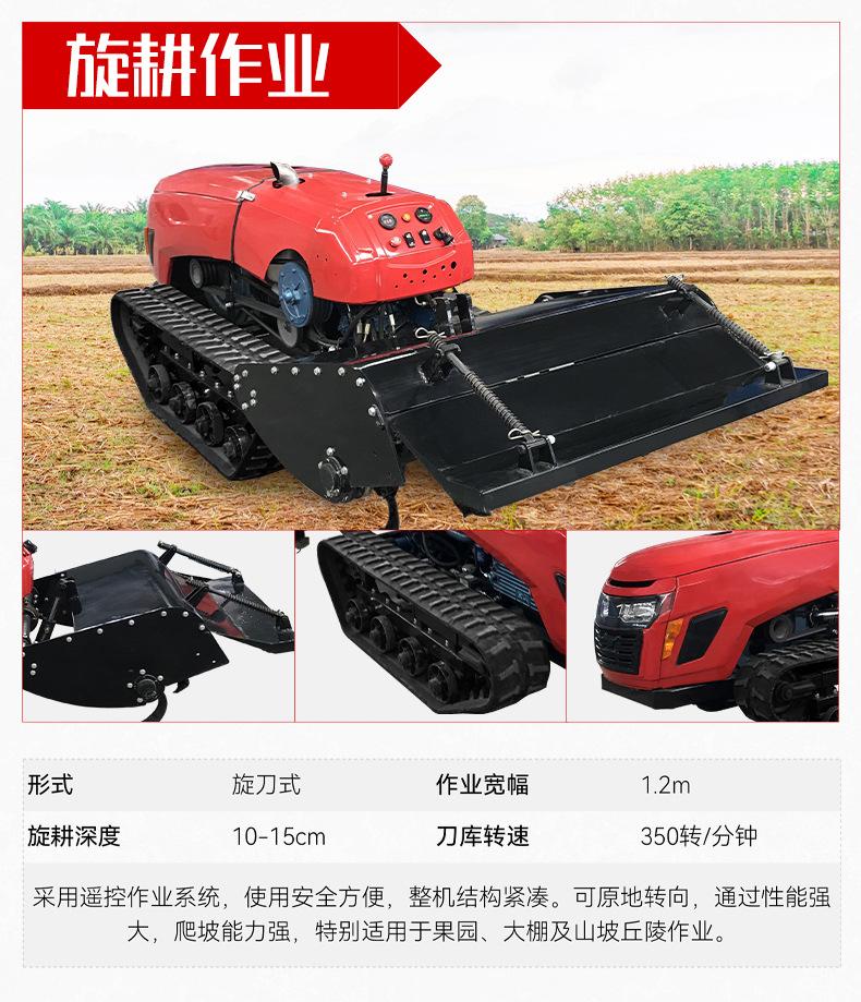 中文详情_10