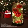 Cubierta de Vidrio de Rosa Transfronteriza Regalo del Día de la Madre San Valentín Adornos de Decoración de Flores Eternas para Novia Luz Nocturna