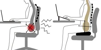 Seat Cushion
