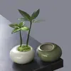 Maceta Pequeña Redonda Plana con Esmalte Agrietado Hielo, Mini Maceta para Suculentas y Plantas Verdes, Maceta de Bambú Ciprés para Hotel, Cerámica Creativa de Mesa con Agujeros