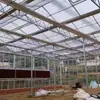 Invernadero de Vidrio para Flores Raras, Invernadero de Temperatura y Humedad Constantes para Plantas Raras, Construcción de Instalaciones de Jardinería