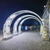 Arco Túnel del Tiempo Espectáculo de Luces Luz de Forma Cuadrada Iluminación Comercial de Calle Luz Decorativa Exterior Led Dragón Luz Animal