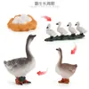 Juguete modelo de animal pequeño simulación ciclo de vida crecimiento rana tortuga pollo Montessori material didáctico preescolar venta al por mayor