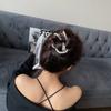 Deseo Puro Parte Trasera de la Cabeza Perla Cadena para el Cabello Accesorios para el Cabello Pinza para el Cabello Súper Hada Ins Tarjetas para el Cabello Cinturón para el Cabello Lazo para el Cabello de Mujer Adorno para la Cabeza Moda