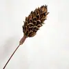 Arranjo de Flores Secas ao Ar Livre Kapok Lótus Zen Buquê de Flores Secas de Algodão Decoração Móveis Domésticos Pequenos Frescos Adereços para Fotos