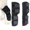 Rodilleras Deportivas para Mascotas Protección de Recuperación Post-Cirugía para Perros Rodilla Articulación Equipo Protector de Rodilla para Mascotas Suministros para Mascotas