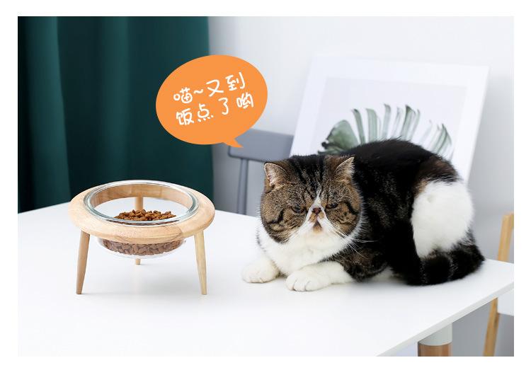 玻璃飞碟猫碗_15.jpg