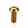 Tornillo de aleación de titanio TC4 m5 * 12 tornillo de tetera copa fija bicicleta m5 * 10 tornillo de disco no se oxida