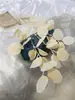 Fábrica Nórdica simulación eucalipto hoja de manzana pulpa de papel hoja de dinero boda decoración tridimensional arreglo floral a mano hojas de eucalipto