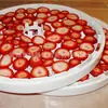 Tapete deshidratador secador de aire con orificio en el centro, almohadilla para secar frutas y verduras, almohadilla para secar frutas conservadas y carne, almohadilla de silicona antiadherente