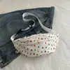 Bolsa de Dumpling Colorida com Bolinhas Versátil Bolsa de Cintura Bolsa de Peito Feminina Nova Bolsa Feminina Outono e Inverno 2024 Popular na Internet Bolsa de Ombro Transversal