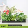 Paisagismo com Plantas Verdes Simulação Floreira Divisória de Piso Arte Floral de Chão Paisagem de Plantas Combinação de Floreira Flor Artificial em Vaso Bonsai Decoração