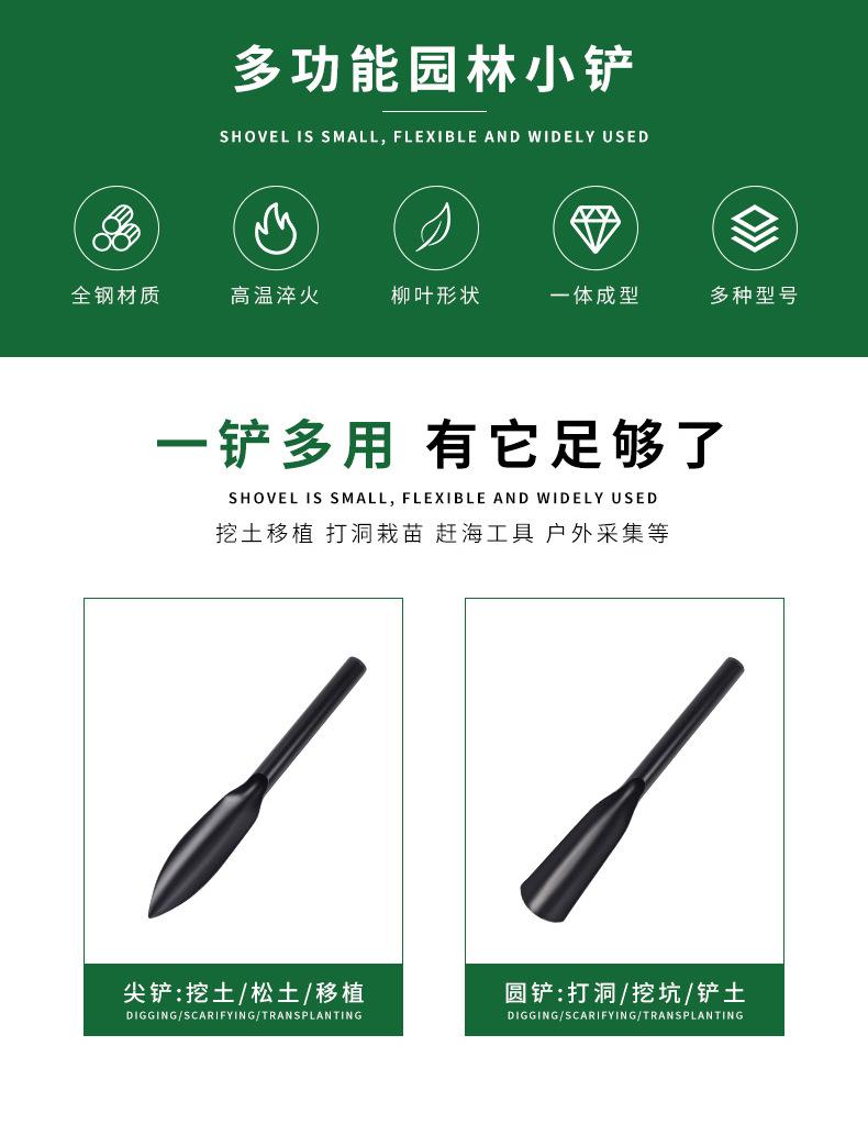 详情_02.jpg