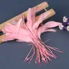 Plumas de Cola de Pollo de Colores Desprendibles Plumas de Pollo Adornos Hechos a Mano para Manualidades Plumas Duras Flotantes Desprendibles Decoración para Sombreros Vestidos Accesorios de Manualidades