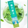 Long Xiang Atacado Comércio Exterior Incenso para Mosquitos e Moscas Rei Bye Xiang Xiang Budista Sabor Sândalo Galho Incensado para Matar Mosquitos e Moscas Incenso Repelente de Mosquitos