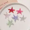 Charms para Zapatos DIY Compatibles con Crocs Zhentu, Accesorios Decorativos de Hebilla de Estrella de Mar Rayada para Playa de Verano