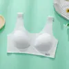 Sutiã Push-up de Seio Pequeno Confortável Suporte Macio Sutiã Menina Costas Bonitas Sem Aro de Metal Bojo Fixo Camiseta Íntima
