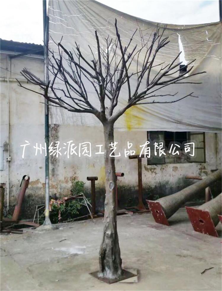 枯树1001109.jpg