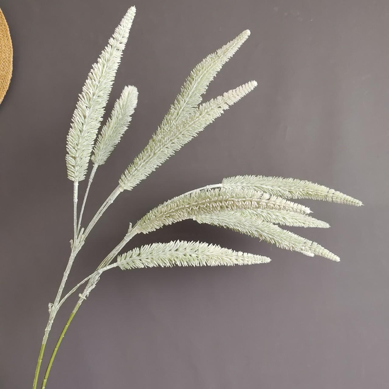 upload