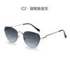 Novos Óculos de Sol Irregulares Personalizados Europeus e Americanos, Óculos de Metal da Moda, Óculos de Sol de Estilo Literário Masculino, Fotografia de Rua Feminina, Alta Qualidade