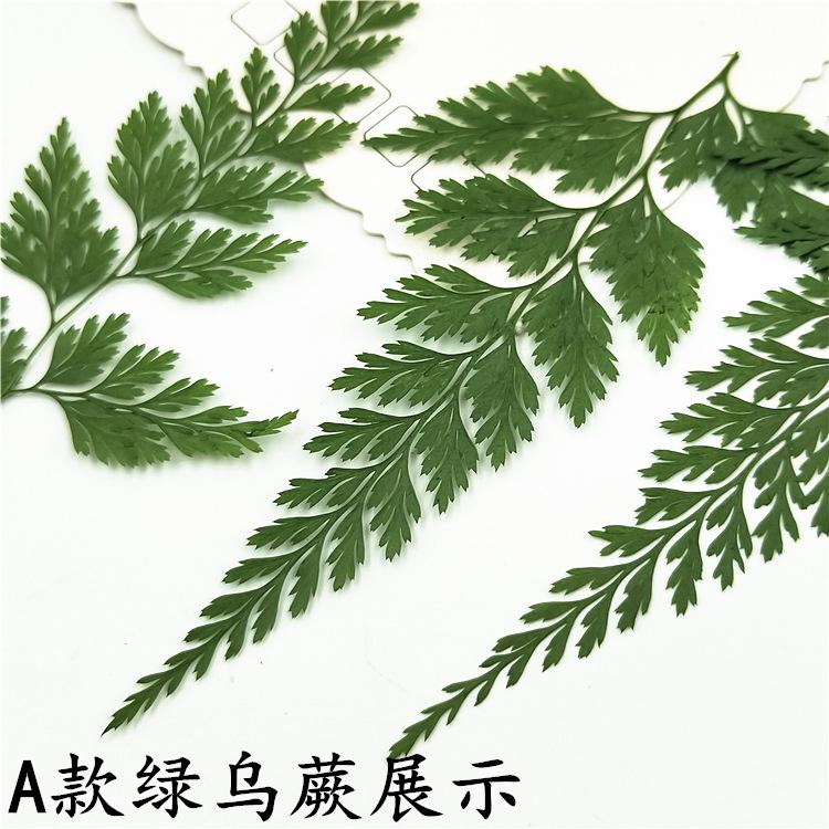 IMG20190107160459