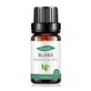 Empaque Completamente en Inglés Aceite Esencial Único de Árbol de Té para Fragancia de Velas DIY, Aceite Esencial de Árbol de Té, Aceite Esencial de Aromaterapia de Árbol de Té