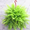 Plántulas de Cinta, Hiedra, Clorofito, Planta de Labial, Peonía, Planta de Cinta, Cinta Perla, Plantas Verdes Colgantes para Balcón de Interior